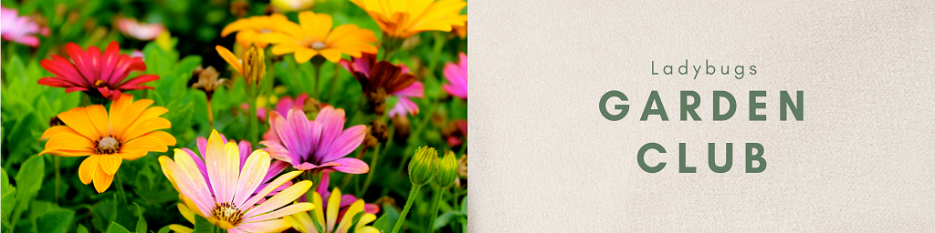 Flower Banner